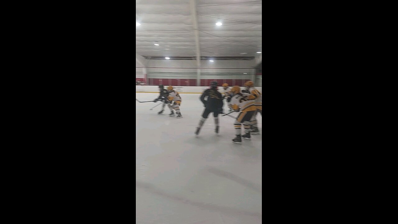 penselite vs honey baked #girls #hockey in #DETROIT