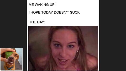 Memes That Will 99.0393% Make You Laugh. (e617)