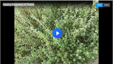 Healing Properties of Thyme
