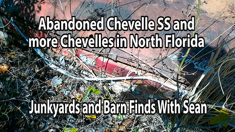 A Bunch of Chevelles and other Muscle Cars abandoned in North Florida