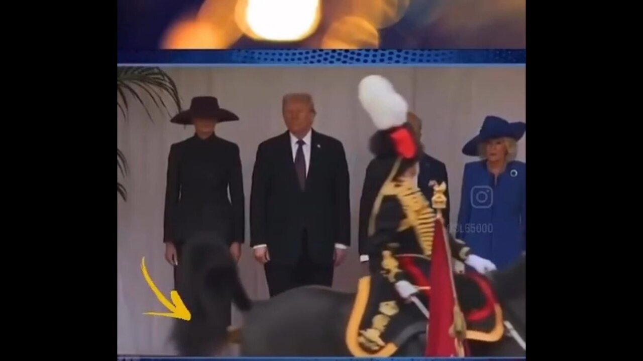 Kôň uvidel, pochopil a vyjadril sa