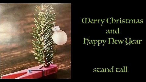 Best Of The Internet (2025) / Your Daily Dose Of Internet