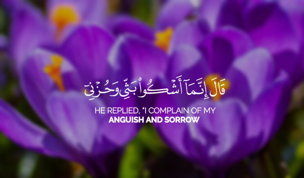 #القرآن_الكريم