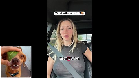 Funny videos compilation 71