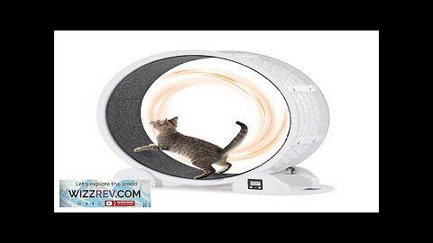 VEVOR Cat Exercise Wheel with Pedometer 40.8" Cat Treadmill for Pet Health Review