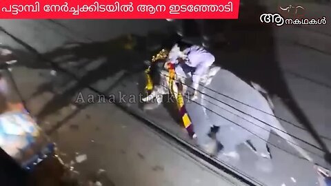 ആനപ്പുറത്തുനിന്നും ചാടരുത്... കാലൊടിയും _ Elephant attack kerala 2025 _ pattambi nercha 2025
