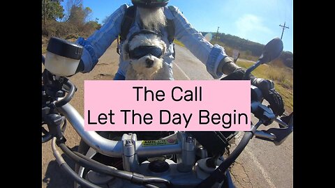 The Call-Let The Day Begin