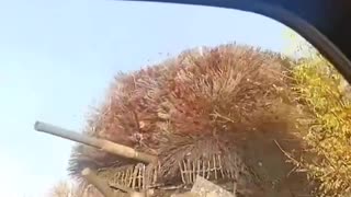 I Have No Words to Describe What Im Seeing