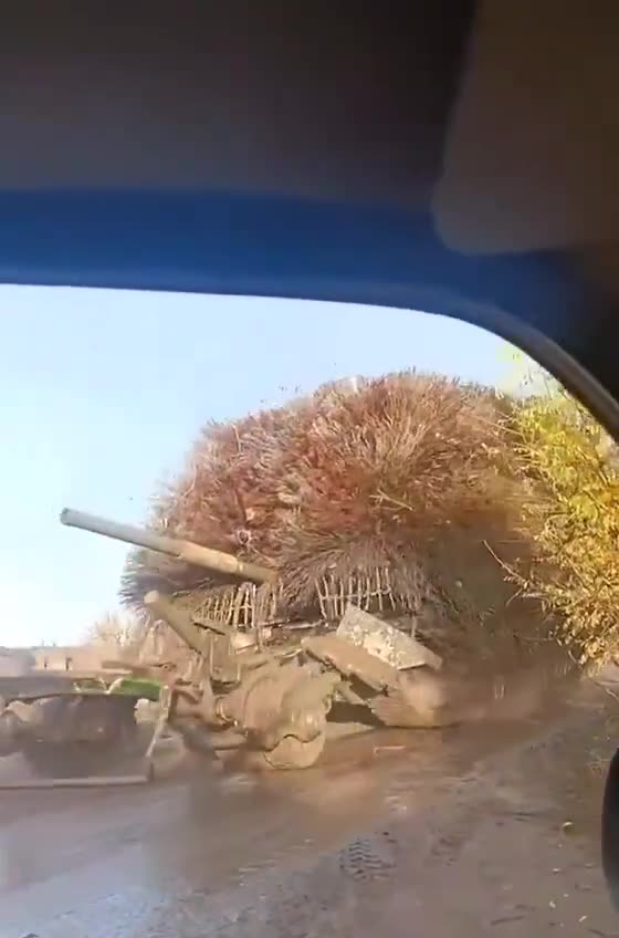 I Have No Words to Describe What Im Seeing