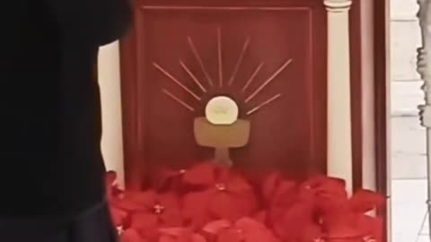 🤮 Go to Confession and THROW UP! Why You Can't Skip the Priest (Fr. Mark Beard)