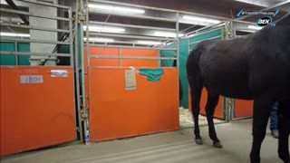 Trent Loos in the Morning - 1/26/2026