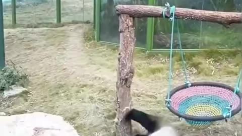 Probably Should Be Extinct