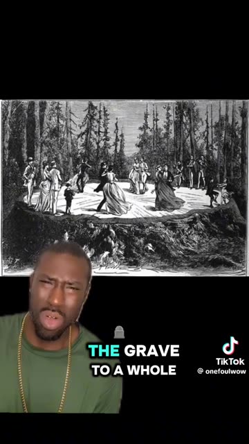 CHOPPING DOWN EARTH’S CATHEDRALS