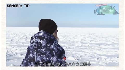 Wild Hokkaido！ 神秘の知床 流氷探検