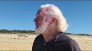 New Wikileaks film….