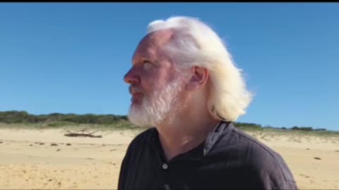 New Wikileaks film….