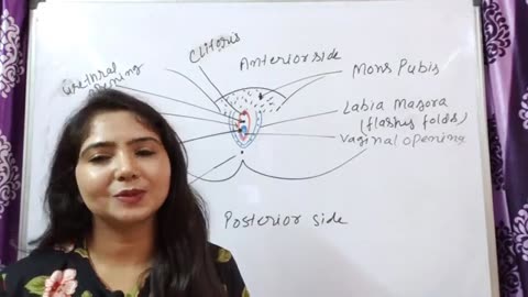 Girls sex study class