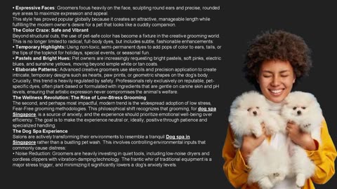 Dog Grooming Trends in Singapore: From Creative Styling to Low-Stress Techniques- The Pets Workshop