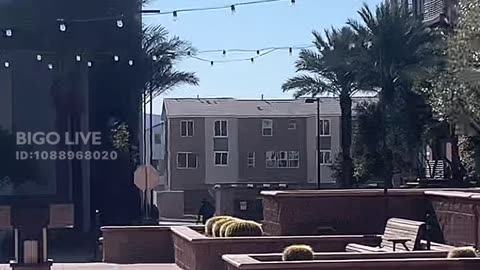 MADAM LO MOVES ACROSS THE STREET FROM SAVANNA AND SHE PULLS UP TO FIGHT!!