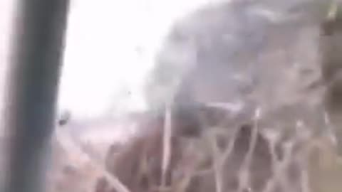 Oh mon Dieu! C'est quoi ce truc? Est ce une sirène pour de vrai!? 😱