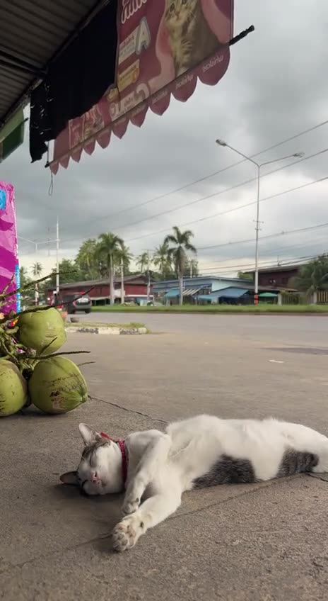 Must have been a rough night 😝