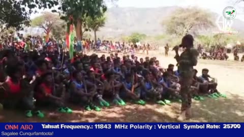 Oduu Ganama ONM-ABO Muddee 31-2024 itti dhiyaadhaa!