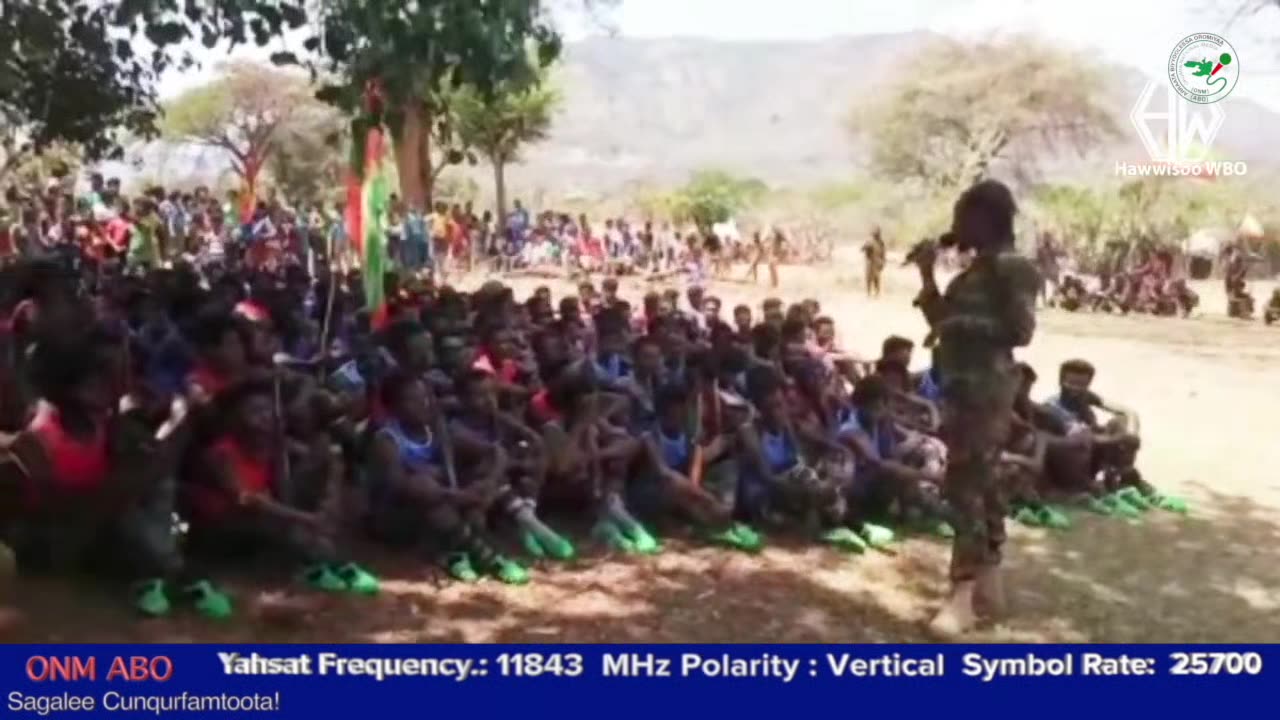 Oduu Ganama ONM-ABO Muddee 31-2024 itti dhiyaadhaa!