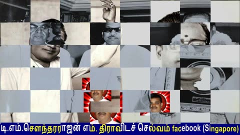 Legend M. S. Viswanathan By M. Thiravidaselvan (singapore) Vol 113 Thrilling Thematic Tunes 12