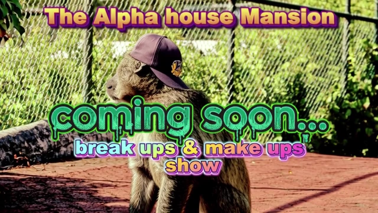 the make ups and break ups