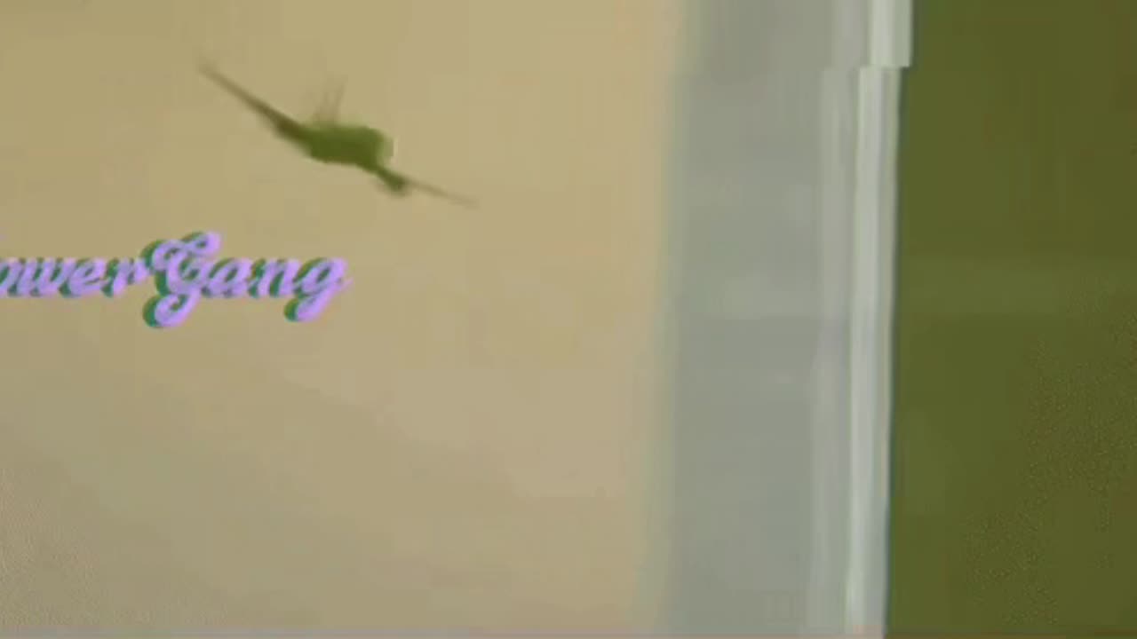 Episode 169 Intro Edit
