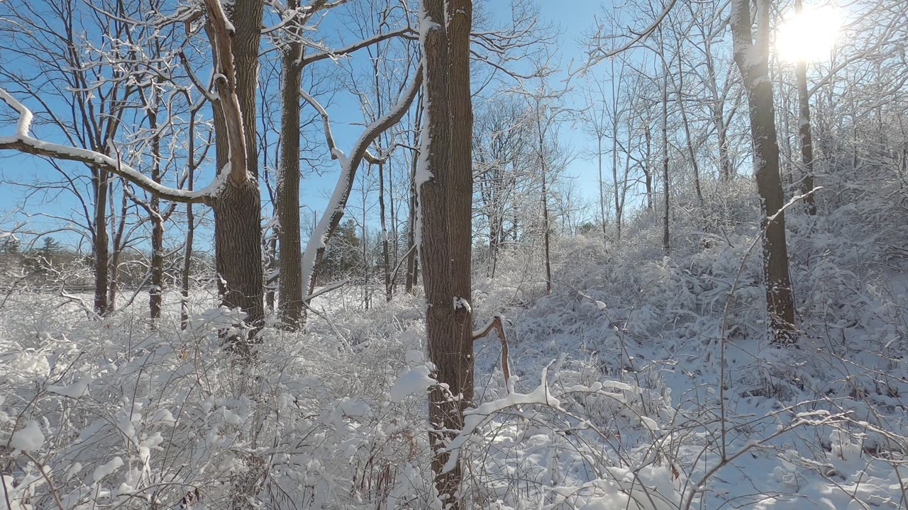 Canadian Winter - After Heavy Snowfall on Trans-Canada Highway