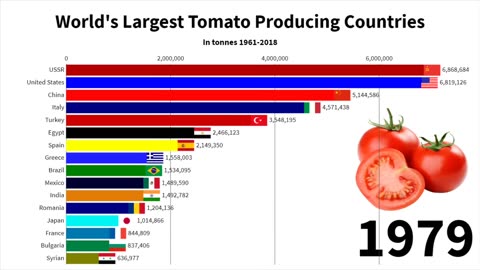 13 - World's Largest Tomato Producing Countries