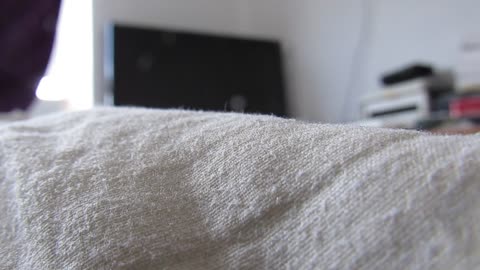 Drop Putin's Arrest Warrant!! UK Courts Take Children From Servicemen and Give Them to Russians!!!