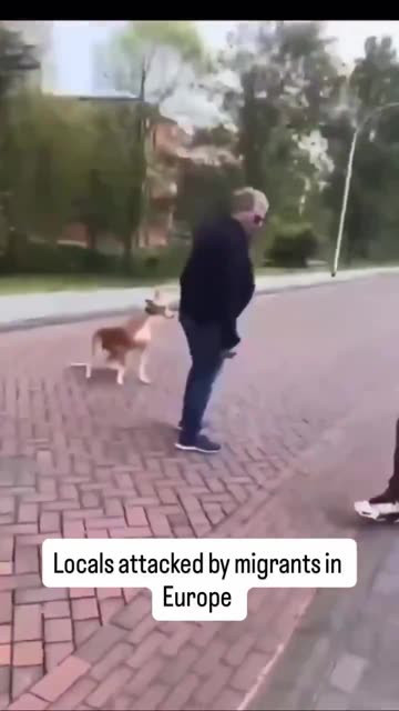 Migrants attack elderly White man