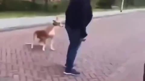 Migrants attack elderly White man