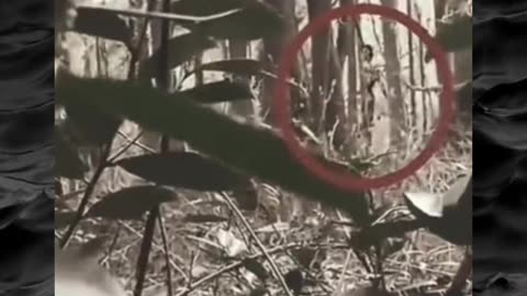 😱👻 The Scariest Clip I've Ever Seen! Creepy Paranormal Videos | TheHauntingHour