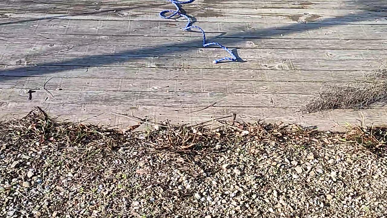 Preparazione pesca