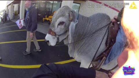 Police Respond to Suspicious Activity Call — Man Riding Bull Through Walmart Parking Lot