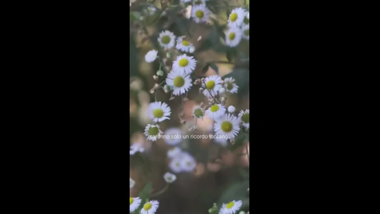 Jessica Senesi, il coraggio di essere se stessi