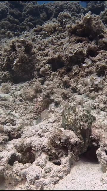 No trespassing allowed 🤣