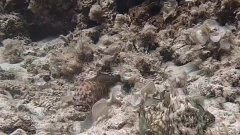 No trespassing allowed 🤣