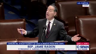 THE DEMOCRATS ARE UNRAVELING‼️ Raskin goes on record to argue Stacey Plaskett was..