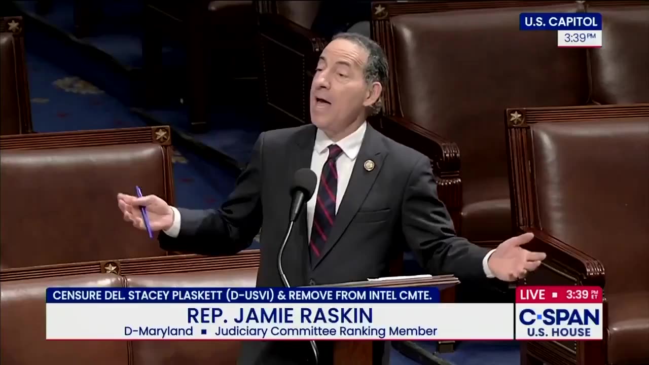 THE DEMOCRATS ARE UNRAVELING‼️ Raskin goes on record to argue Stacey Plaskett was..
