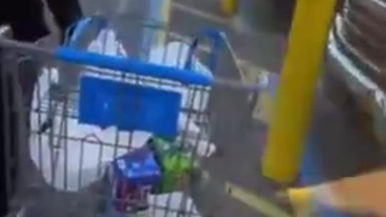 NIGGER PLAY GROUND WALMART.mp4