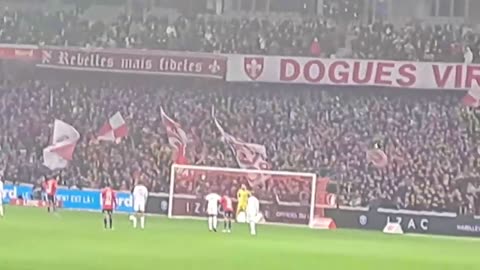 LOSC Lille 'Les Dogues'