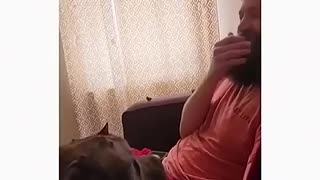 Shocking: Dogs being idiot part 86| Funny dogs compilation #funnydog #funnypet #