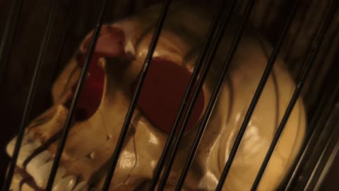 ВЕЩЕР [ALBUM TRAILER] - 15 Dec 2021