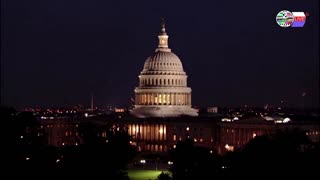 TWO CATS U.S. POLITICAL NEWS