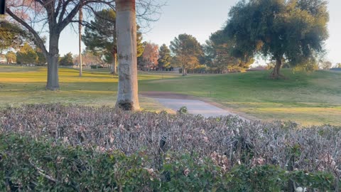 Boulder City Golf Course 02/24/2025 Part 1