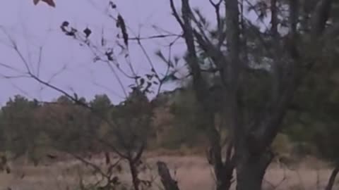 😇👽 Is This an Orb or an Angelic Presence? | TheTruthAbove